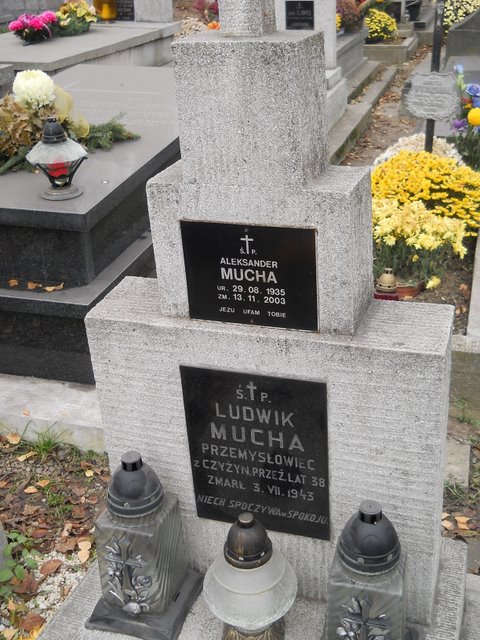 Ludwik Mucha 38 lat Kraków Mogiła - Grobonet - Wyszukiwarka osób pochowanych