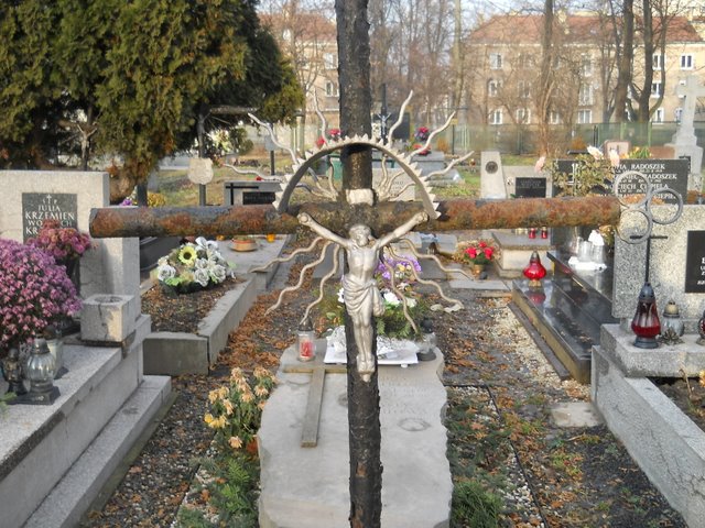 Tadeusz Mars 1950 Kraków Mogiła - Grobonet - Wyszukiwarka osób pochowanych