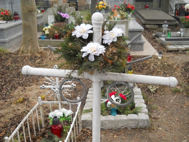 Paweł Balcerzak Kraków Mogiła - Grobonet - Wyszukiwarka osób pochowanych