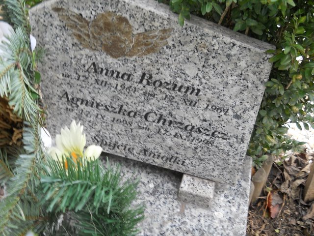 Agnieszka Chrząszcz 1998 Kraków Mogiła - Grobonet - Wyszukiwarka osób pochowanych