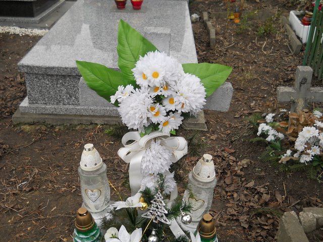   Kraków Mogiła - Grobonet - Wyszukiwarka osób pochowanych